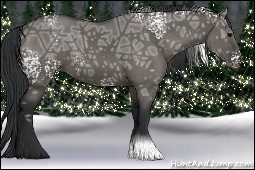 Horse Color:White Spotted Grullo Ice 