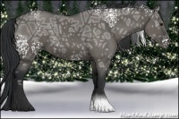 Horse Color:White Spotted Grullo Ice