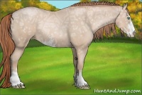 Horse Color:Smoky Black Ice Pearl Sabino 