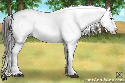 Horse Color:Liver Chestnut Tobiano Near Leopard