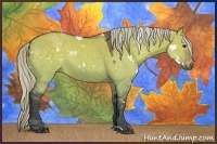 Horse Color:White Spotted Silver Brown Dun Rabicano 