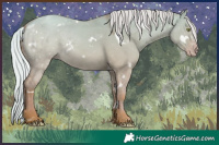 Horse Color:White Spotted Silver Amber Champagne Dun 