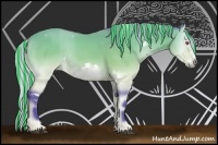 Horse Color:Painted Watercolor White Spotted Silver Brown Chinchilla Onyx Frame Rabicano