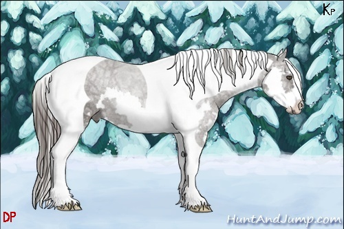 Horse Color:Liver Chestnut Ice Splash Tobiano Frame 