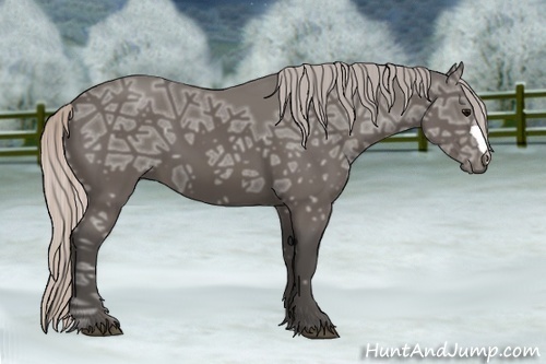 Horse Color:Silver Black Ice Frame