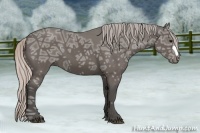 Horse Color:Silver Black Ice Frame 