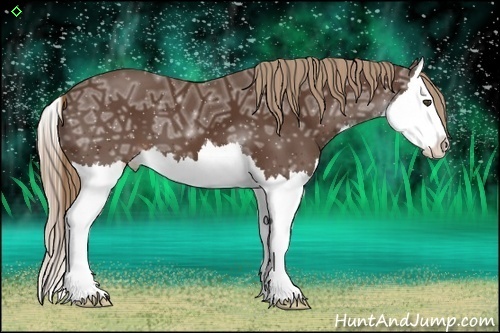 Horse Color:Liver Chestnut Ice Splash 
