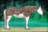 Horse Color:Liver Chestnut Ice Splash 