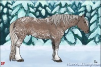 Horse Color:Silver Bay Ice Tobiano