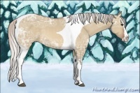 Horse Color:Silver Bay Ice Dun Splash Tobiano