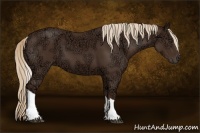 Horse Color:Liver Chestnut Ice Tobiano