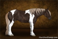 Horse Color:Liver Chestnut Ice Tobiano