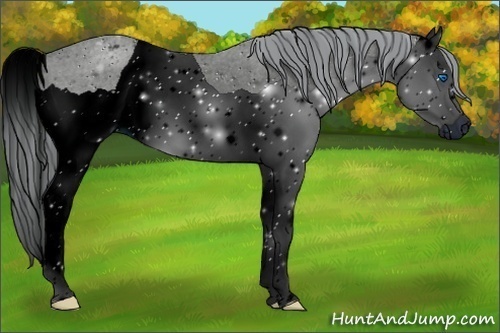 Horse Color:ERROR: UNKNOWN ANOMALY