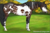 Horse Color:Bay Frame 