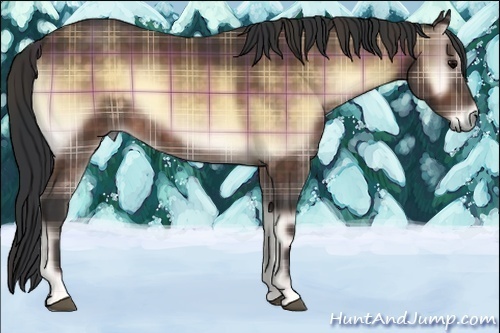 Horse Color:Plaid  Buckskin Onyx Sabino 