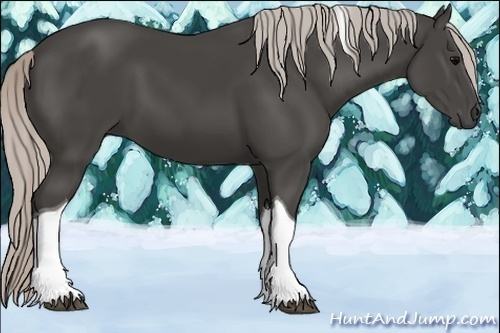 Horse Color:Silver Black Tobiano 