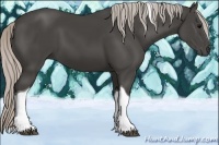 Horse Color:Silver Black Tobiano 