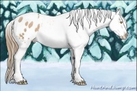 Horse Color:White Spotted Bay Pearl Appaloosa Rabicano 