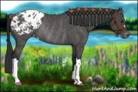 Horse Color:Black Varnish Rabicano