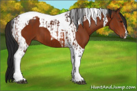 Horse Color:Bay Tobiano and Gray Bay Tobiano