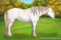 Horse Color:Buckskin Roan Pearl  and Amber Cream Champagne Roan Pearl 