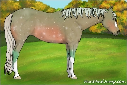 Horse Color:Watercolor Silver Bay 