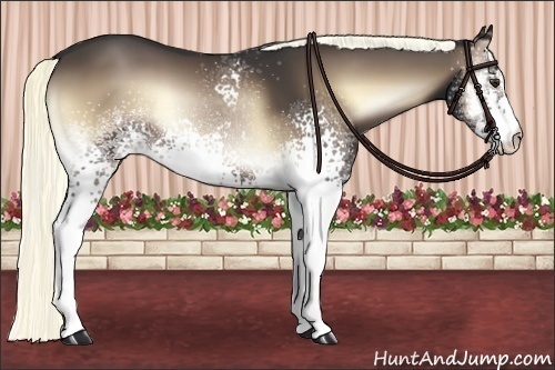 Horse Color:White Spotted Liver Red Onyx 