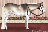 Horse Color:White Spotted Liver Red Onyx 