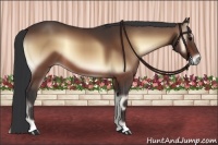 Horse Color:Brown Onyx
