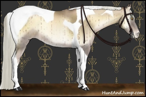 Horse Color:Liver Red Onyx Pearl Tobiano Rabicano 