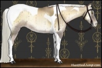 Horse Color:Liver Red Onyx Pearl Tobiano Rabicano 