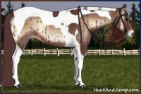 Horse Color:Chocolate Brown Onyx Tobiano 