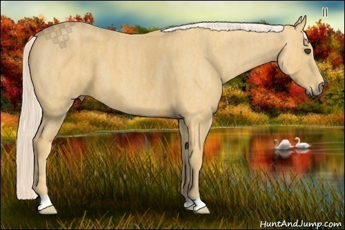 Horse Color:Palomino Brindle