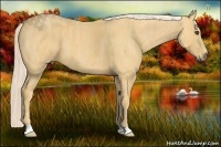 Horse Color:Palomino  Brindle