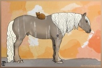 Horse Color:Liver Chestnut Ice 