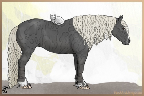 Horse Color:Liver Chestnut Ice Sabino 