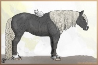 Horse Color:Liver Chestnut Ice Sabino 