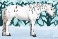Horse Color:Liver Chestnut Ice Tobiano Varnish