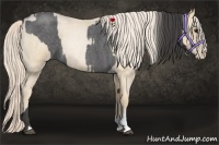 Horse Color:Smoky Blue Roan and Palomino Roan Pearl