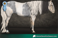 Horse Color:Smoky Blue Roan and Palomino Roan Pearl