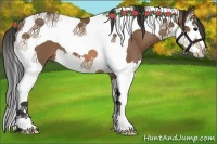 Horse Color:Buckskin Splash Tobiano 