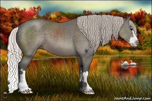 Horse Color:Silver Black Sabino Splash