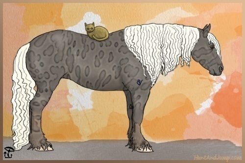 Horse Color:Liver Chestnut Ice Rabicano 