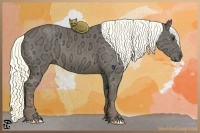 Horse Color:Liver Chestnut Ice Rabicano 