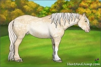 Horse Color:Silver Classic Cream Champagne Ice