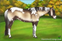 Horse Color:White Spotted Liver Red Onyx Tobiano