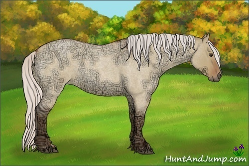 Horse Color:Silver Bay Ice Roan Dun
