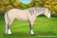 Horse Color:Silver Bay Ice Roan Dun Splash 