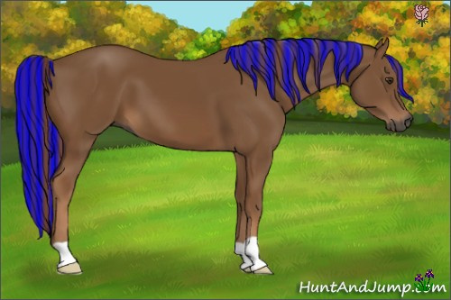 Horse Color:Gray Painted Chestnut 