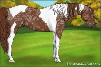 Horse Color:Chestnut Ice Tobiano
